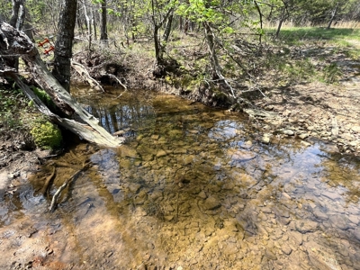 East Tennessee  Hunting and Rec Mountain Property for sale - image 40