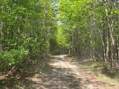 East Tennessee  Hunting and Rec Mountain Property for sale - image 4