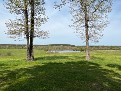 East Tennessee  Hunting and Rec Mountain Property for sale - image 27
