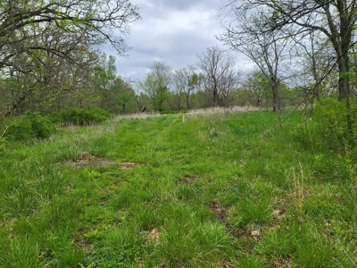 Vernon County Missouri Land For Sale - image 18