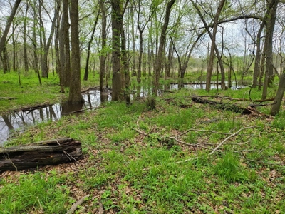 Vernon County Missouri Land For Sale - image 31