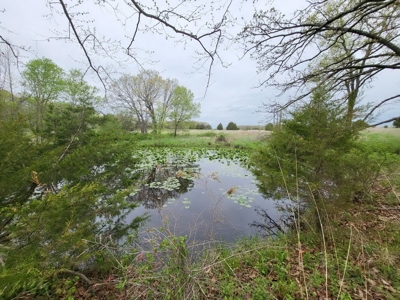 Vernon County Missouri Land For Sale - image 29