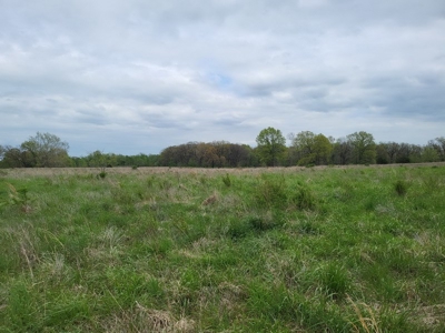 Vernon County Missouri Land For Sale - image 7