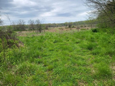 Vernon County Missouri Land For Sale - image 4