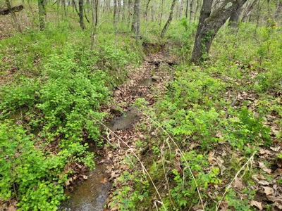 Vernon County Missouri Land For Sale - image 25