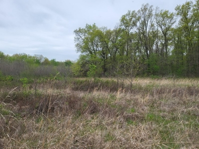 Vernon County Missouri Land For Sale - image 6