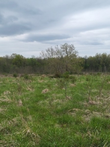 Vernon County Missouri Land For Sale - image 28