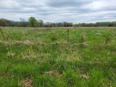 Vernon County Missouri Land For Sale - image 9
