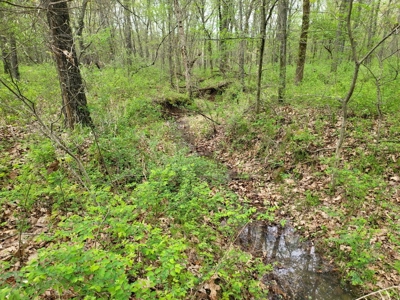 Vernon County Missouri Land For Sale - image 30