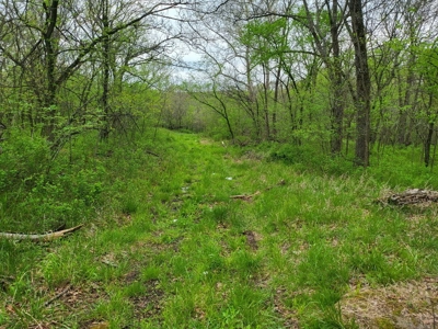 Vernon County Missouri Land For Sale - image 1