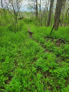 Vernon County Missouri Land For Sale - image 20