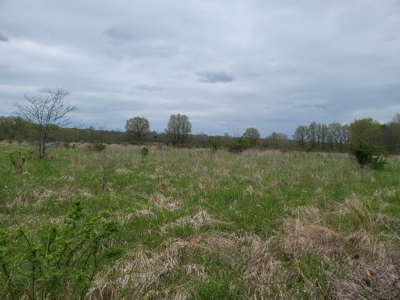 Vernon County Missouri Land For Sale - image 26