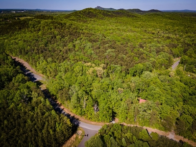 Hand Hewn Log Cabin For Sale in Kings Mountain NC - image 8