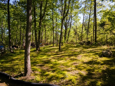 Hand Hewn Log Cabin For Sale in Kings Mountain NC - image 12