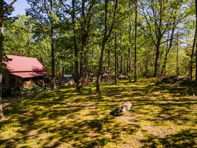 Hand Hewn Log Cabin For Sale in Kings Mountain NC - image 3