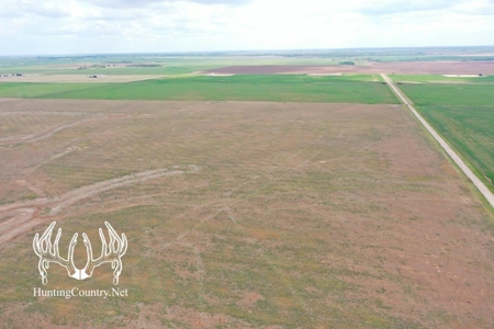 #OK-581 ONLINE AUCTION Woods County, Oklahoma 160 Acres M/L - image 3