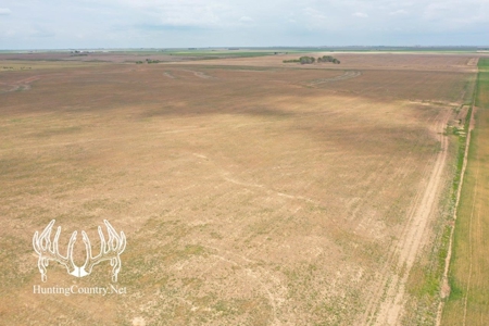 #OK-581 ONLINE AUCTION Woods County, Oklahoma 160 Acres M/L - image 4