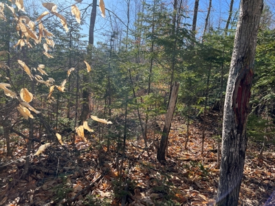 Land For Sale in Least Populated Maine County - image 36