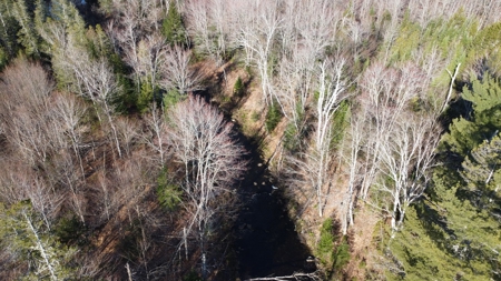 Land For Sale in Least Populated Maine County - image 9