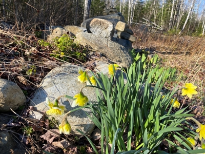 Land For Sale in Least Populated Maine County - image 26