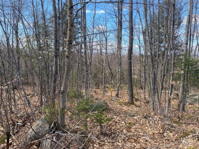 Land For Sale in Least Populated Maine County - image 16