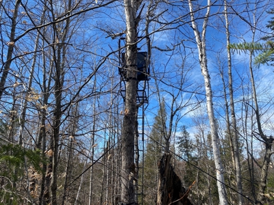 Land For Sale in Least Populated Maine County - image 20