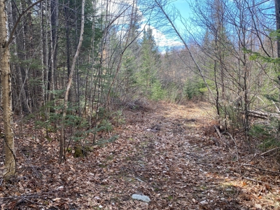 Land For Sale in Least Populated Maine County - image 23