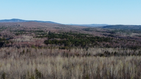 Land For Sale in Least Populated Maine County - image 7
