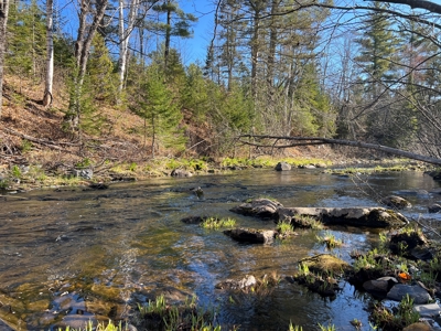 Land For Sale in Least Populated Maine County - image 34
