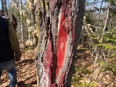 Land For Sale in Least Populated Maine County - image 19