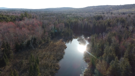 Land For Sale in Least Populated Maine County - image 12