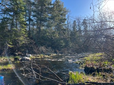 Land For Sale in Least Populated Maine County - image 33