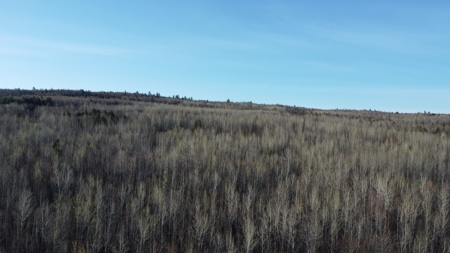 Land For Sale in Least Populated Maine County - image 4