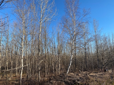 Land For Sale in Least Populated Maine County - image 25