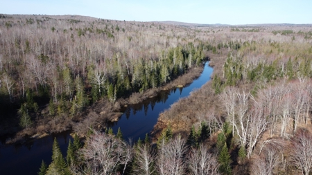 Land For Sale in Least Populated Maine County - image 1