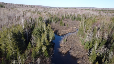 Land For Sale in Least Populated Maine County - image 11