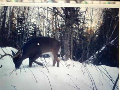 Land For Sale in Least Populated Maine County - image 13