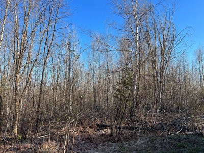 Land For Sale in Least Populated Maine County - image 29