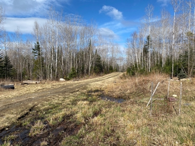 Land For Sale in Least Populated Maine County - image 24