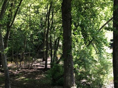 Waterfront RV Lot Western KY Lake Barkley - image 4