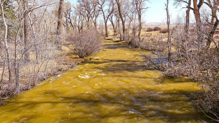 Colorado Ranch  For Sale With Water Rights / Income / Crops - image 6