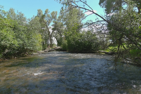 Colorado Ranch  For Sale With Water Rights / Income / Crops - image 42