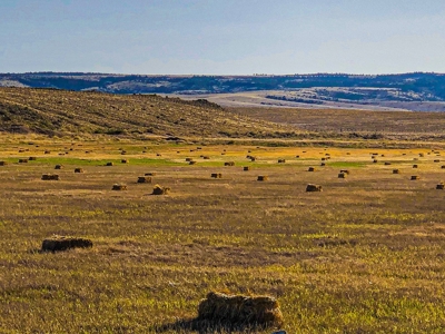 Colorado Ranch  For Sale With Water Rights / Income / Crops - image 13