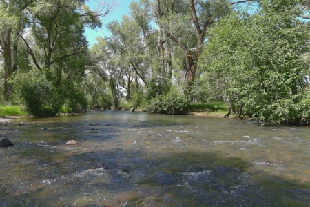 Colorado Ranch  For Sale With Water Rights / Income / Crops - image 44