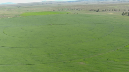 Colorado Ranch  For Sale With Water Rights / Income / Crops - image 48
