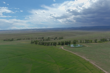 Colorado Ranch  For Sale With Water Rights / Income / Crops - image 49