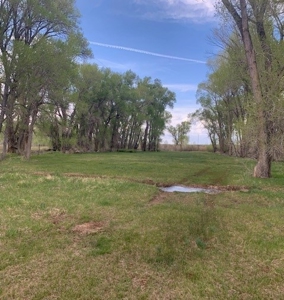Colorado Ranch  For Sale With Water Rights / Income / Crops - image 4