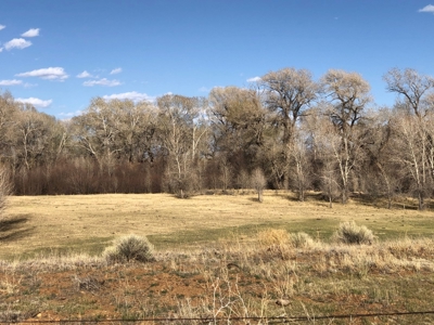 Colorado Ranch  For Sale With Water Rights / Income / Crops - image 7