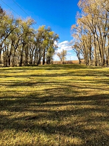 Colorado Ranch  For Sale With Water Rights / Income / Crops - image 12