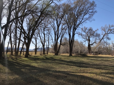 Colorado Ranch  For Sale With Water Rights / Income / Crops - image 8